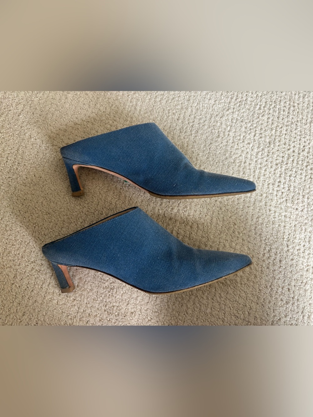 Stuart Weitzman Pointed-Toe Blue Slip-On Mule Heels